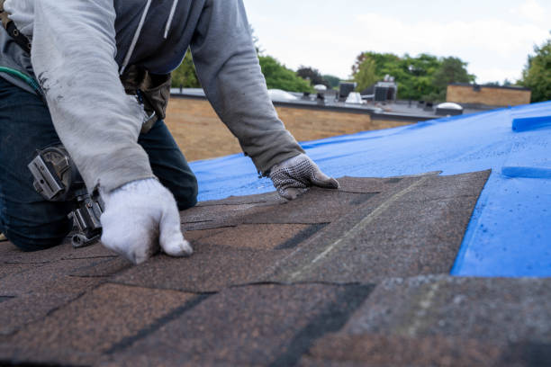 Best Commercial Roofing Services  in Chlicothe, IL